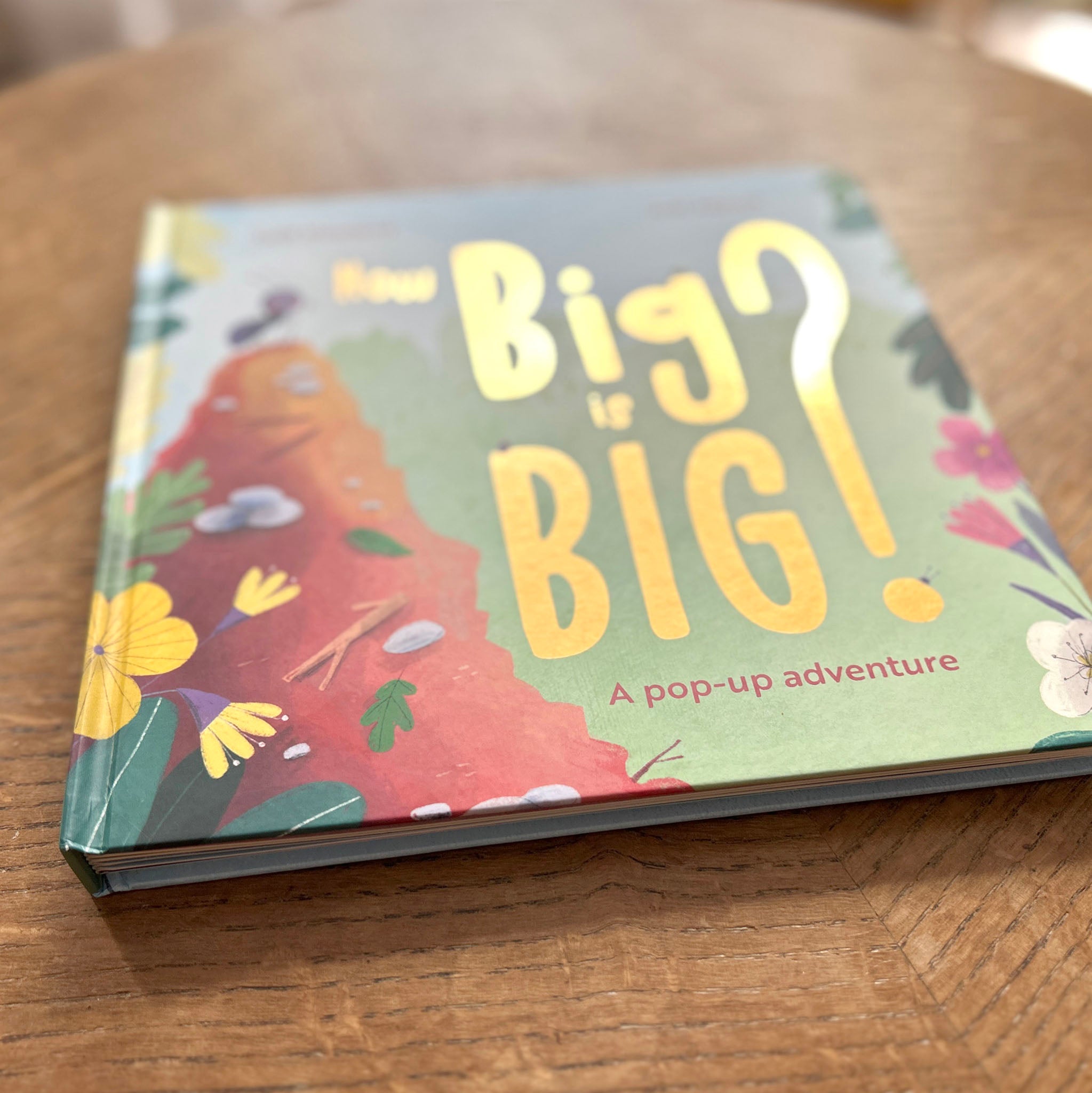 Book titled 'Big? Big!' with a pop-up design by Geff Newland