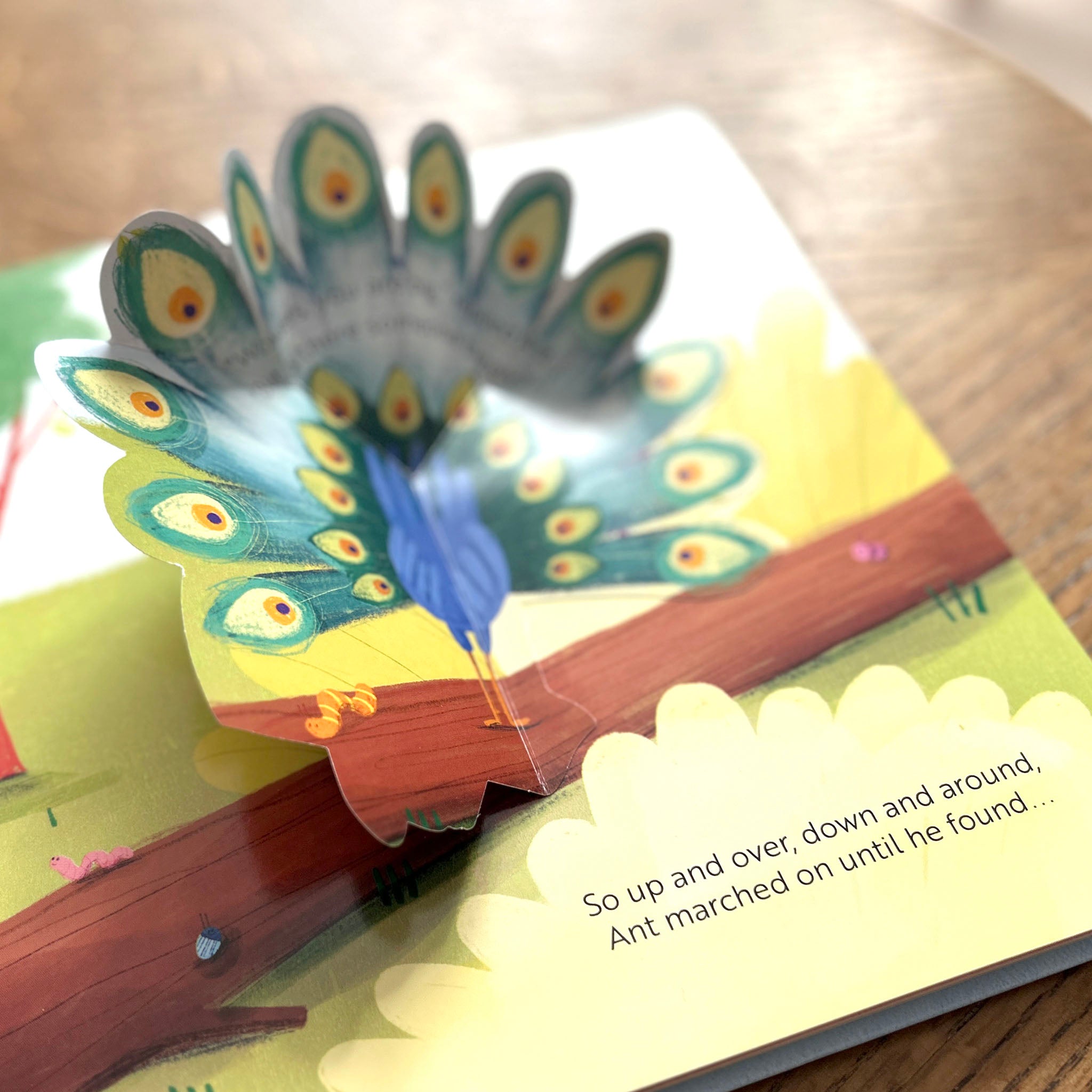 Pop-up book with a peacock illustration How Big s Big by Geff Newland