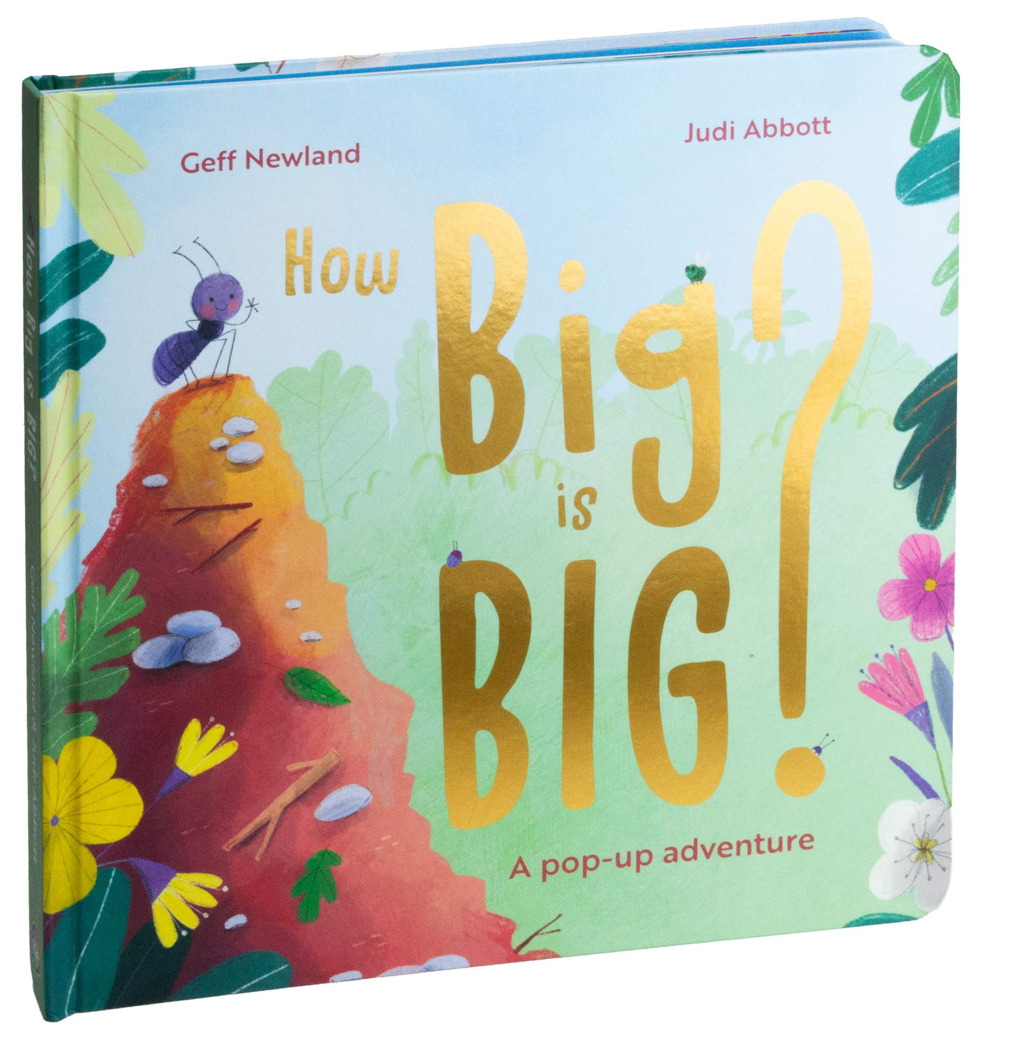 How Big is Big? By Geff Newland, illustrated by Judi Abbot