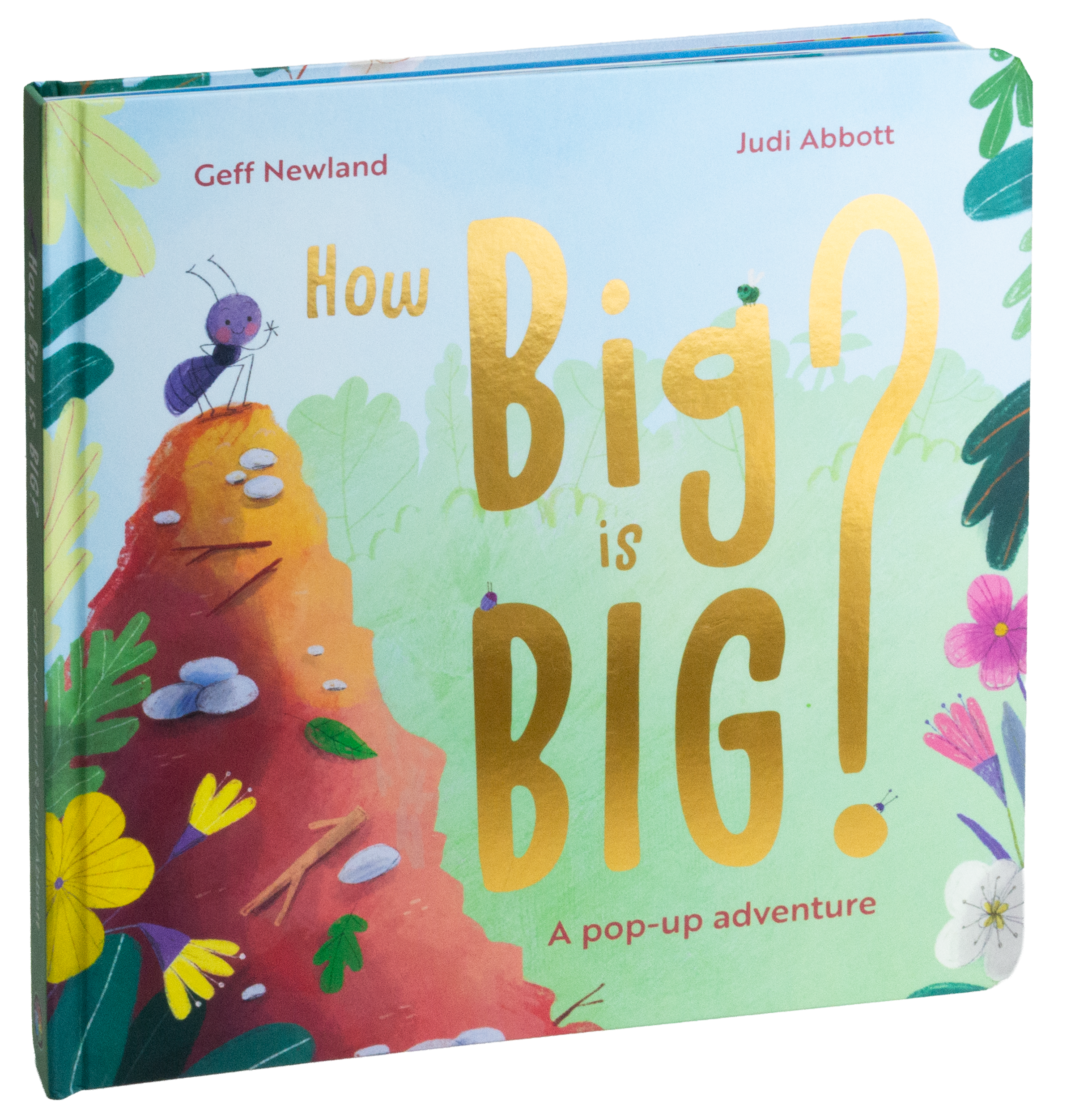 How Big is Big? By Geff Newland, illustrated by Judi Abbot