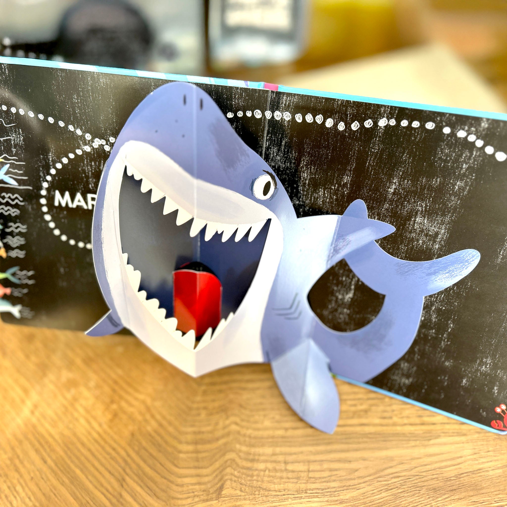 Pop-up shark children's book Swim Along With Me