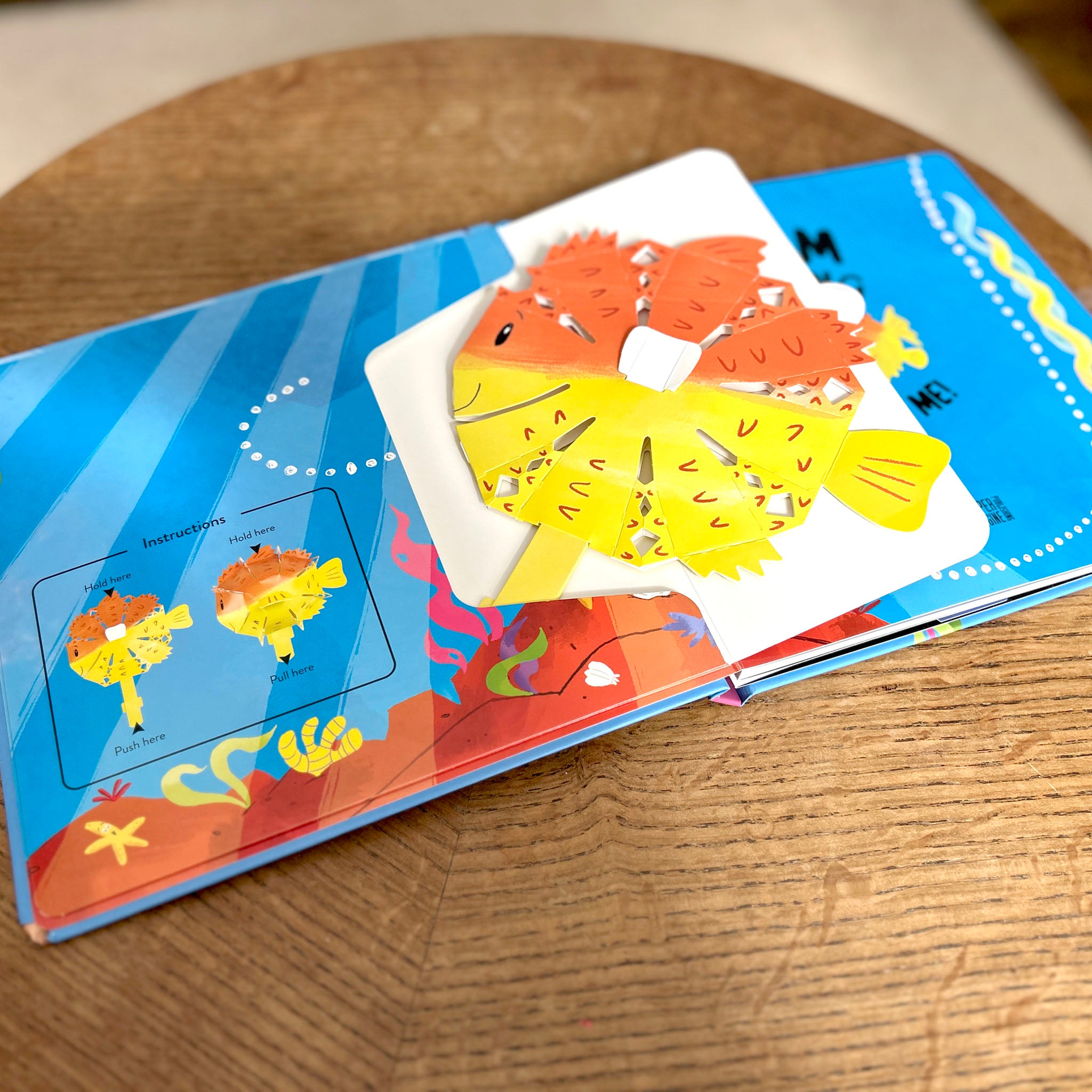 Children's book with colorful fish illustrations Swim Along With Me